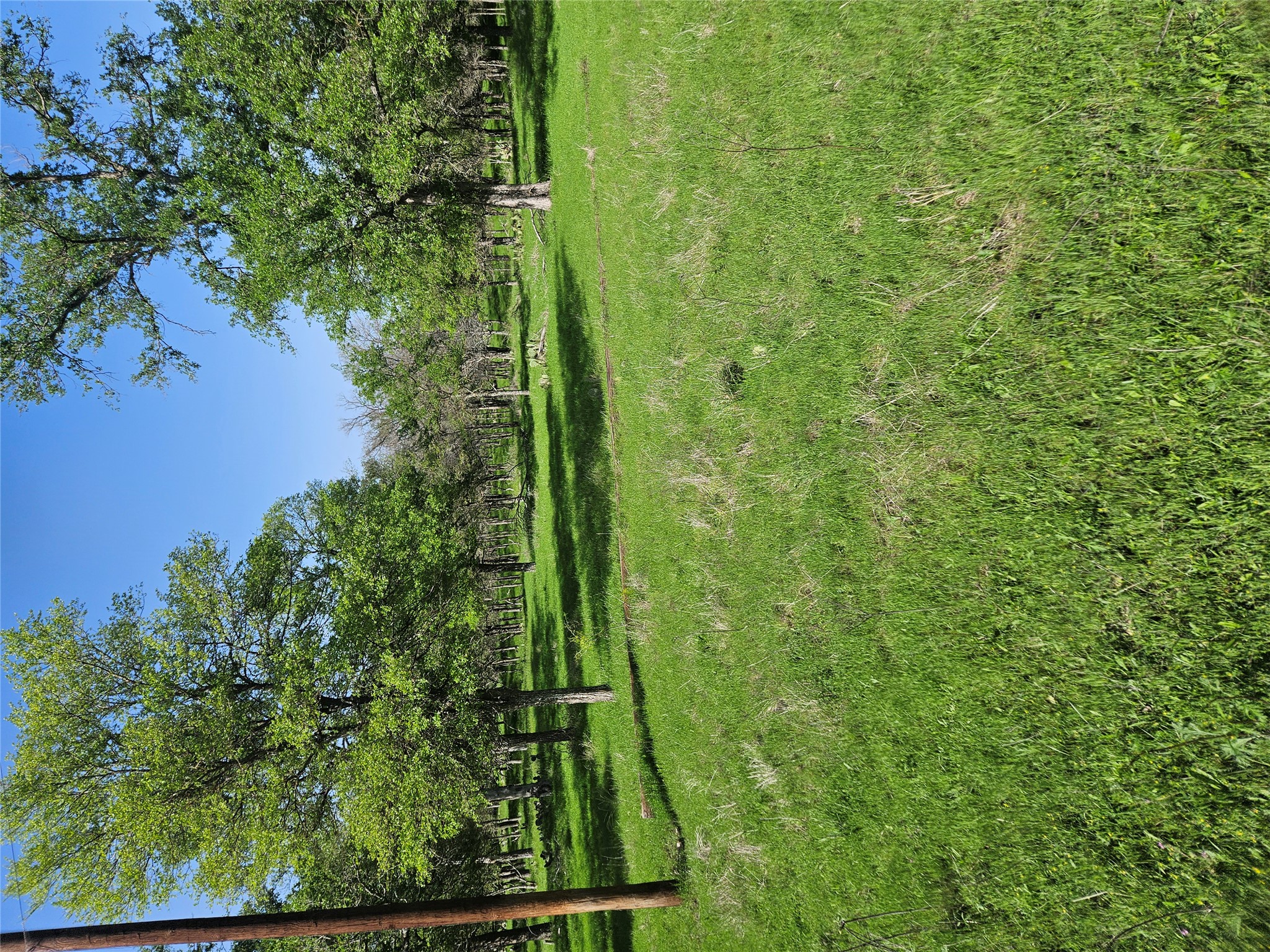 a view of a park with trees and flowers