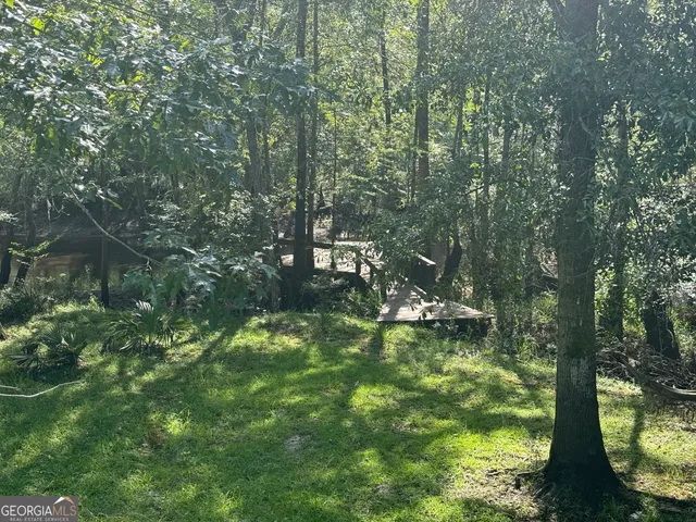 a view of a lake with a forest