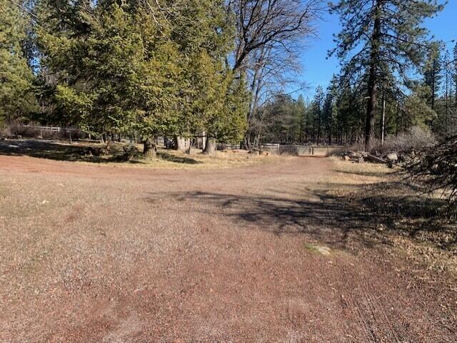 20394 Camas Road Burney, CA 96013 - Photo 14 of 56 a view of dirt yard with a large tree