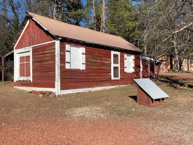 a view of a forest with trees