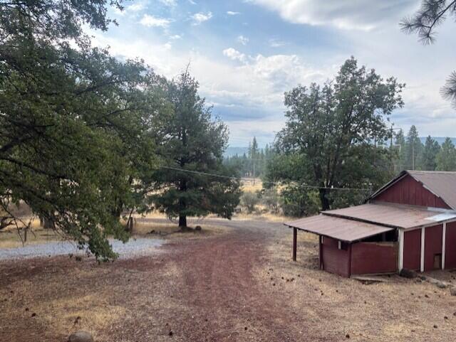 20394 Camas Road Burney, CA 96013 - Photo 54 of 56 a view of a yard with a tree