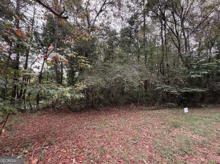 0 Lebanon Church Road, Unit TRACT 1 Jefferson, GA 30549 - Photo 11 of 15 Gallery Image 11