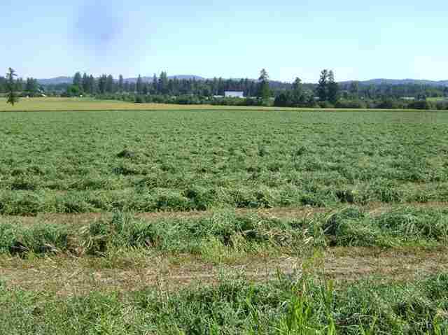 Xx Xx Herman Road, Unit D Deer Park, WA 99006 - Photo 3 of 9