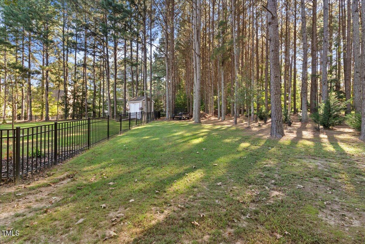 105 Jackson Road Youngsville, NC 27596 - Photo 48 of 55 a view of a park with large trees