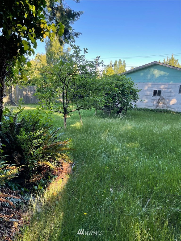 a view of a garden with a tree