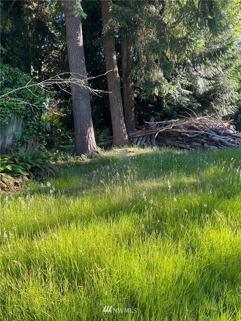 9530 Holly Drive Everett, WA 98204 - Photo 2 of 3 a view of a garden with plants
