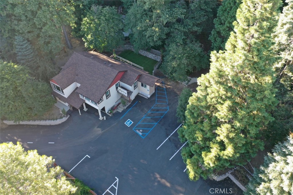 28670 Highway 18 Lake Arrowhead, CA 92385 - Photo 23 of 24 an aerial view of a house with a yard and garden