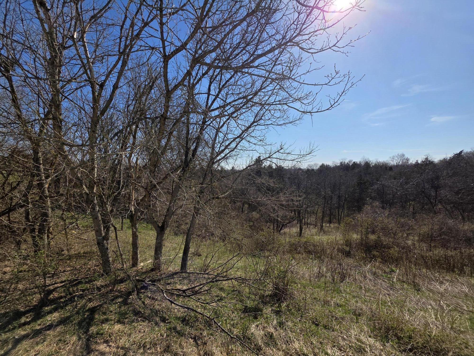 3461 Rector Road Morning View, KY 41063 - Photo 3 of 16
