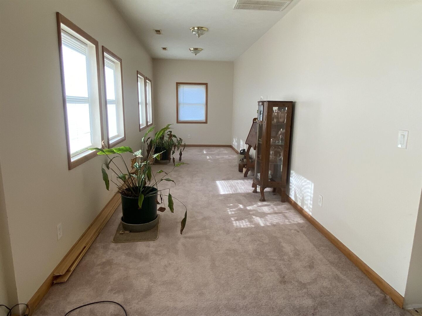 190 Public Street Muddy, IL 62965 - Photo 6 of 16 a view of livingroom with furniture
