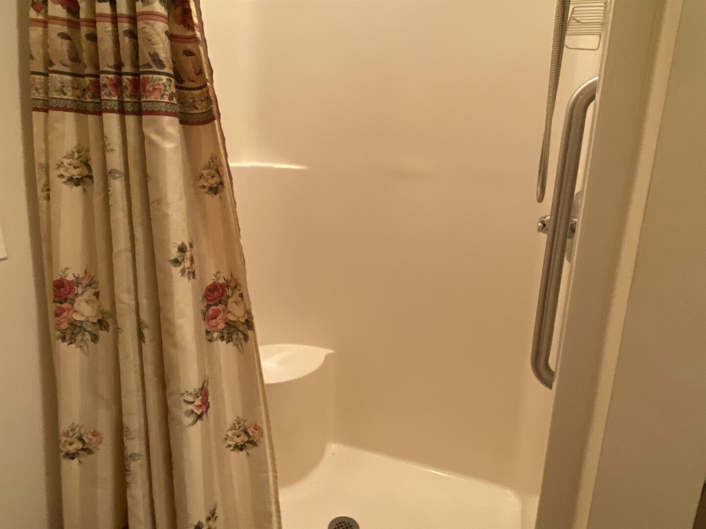 190 Public Street Muddy, IL 62965 - Photo 8 of 16 a bathroom with a shower