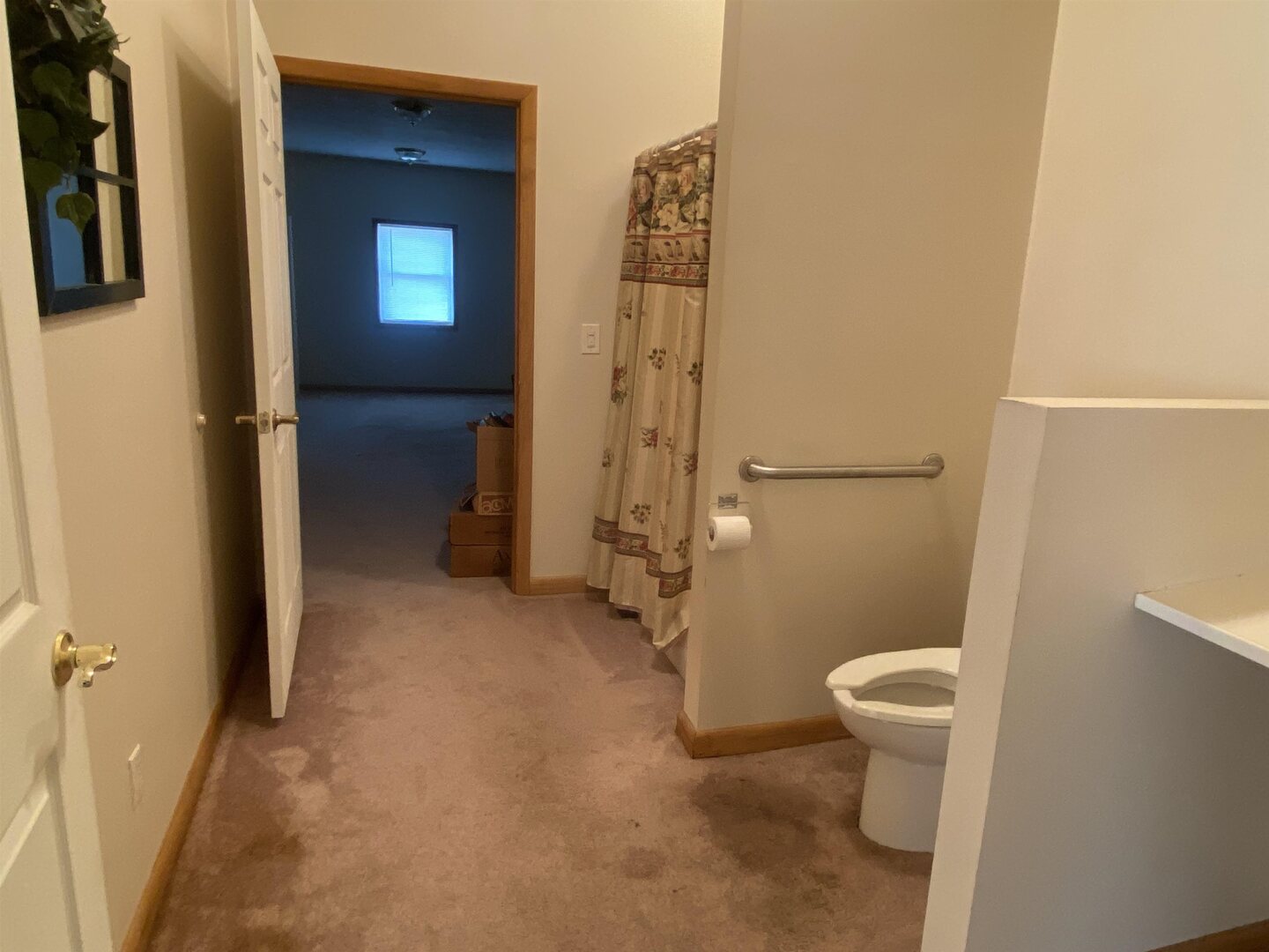 190 Public Street Muddy, IL 62965 - Photo 9 of 16 a bathroom with a toilet and a shower