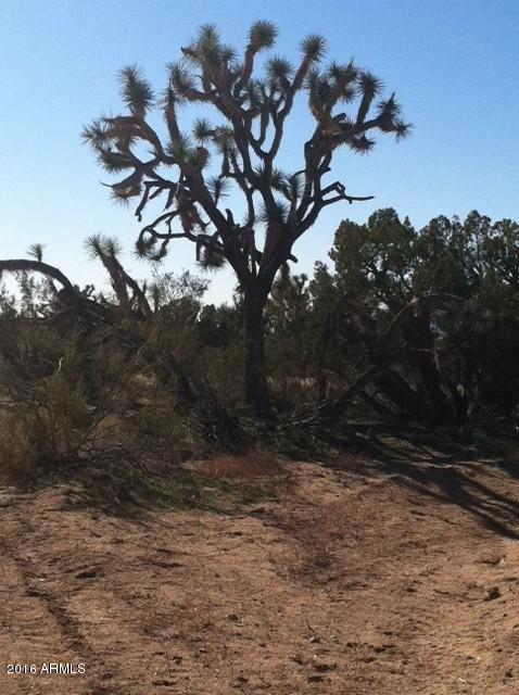 2664 South Rawhide Road, Unit 2664 Yucca, AZ 86438 - Photo 1 of 6 7photo