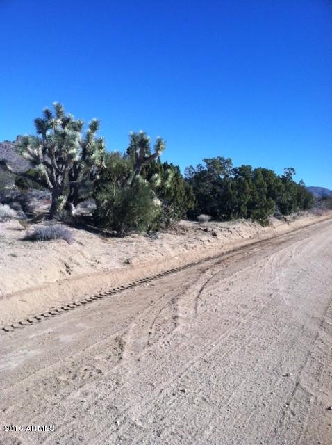 2664 South Rawhide Road, Unit 2664 Yucca, AZ 86438 - Photo 2 of 6 9photo