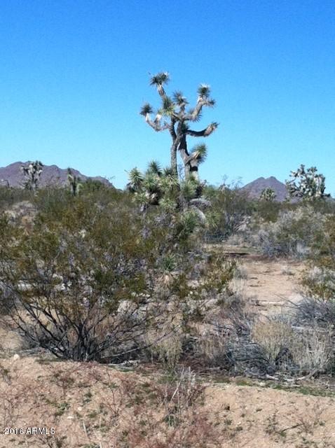 2664 South Rawhide Road, Unit 2664 Yucca, AZ 86438 - Photo 3 of 6 12photo