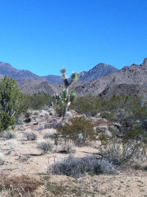 2664 South Rawhide Road, Unit 2664 Yucca, AZ 86438 - Photo 4 of 6 14