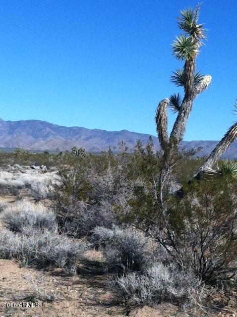2664 South Rawhide Road, Unit 2664 Yucca, AZ 86438 - Photo 5 of 6 17photo
