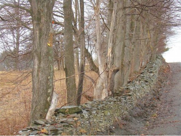 413 Brackett Road Bainbridge, NY 13733 - Photo 8 of 12 Gallery Image 8