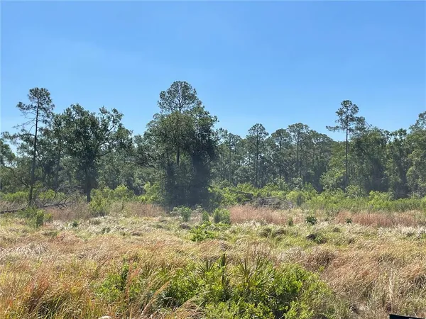 $150,000 | Avonwood, Tampa, FL 33625