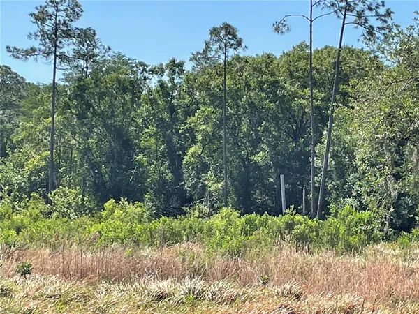 $150,000 | Avonwood, Tampa, FL 33625