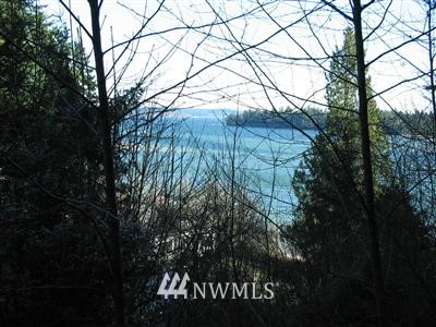 220 Lorenz Road Northwest Lakebay, WA 98349 - Photo 1 of 1