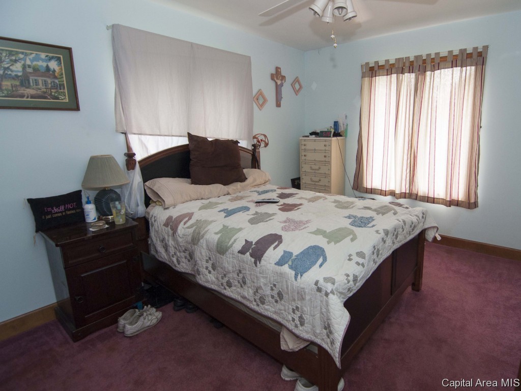 5814 Curran Road New Berlin, IL 62670 - Photo 12 of 18