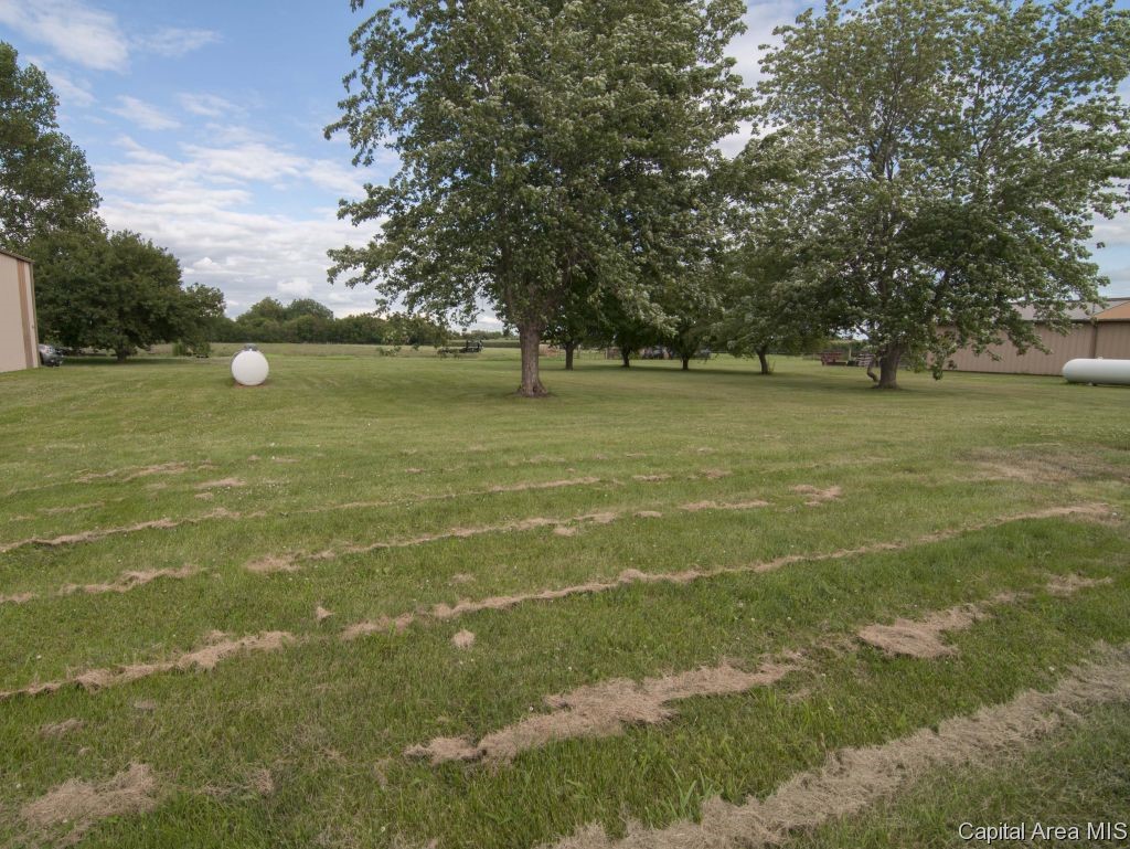 5814 Curran Road New Berlin, IL 62670 - Photo 15 of 18