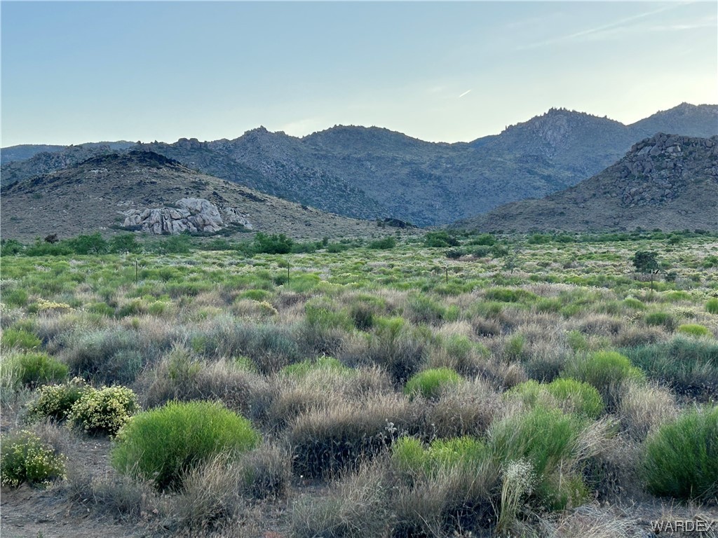 0 Stockton Hill Road Kingman, AZ 86409 - Photo 1 of 20 a view of a lush green field