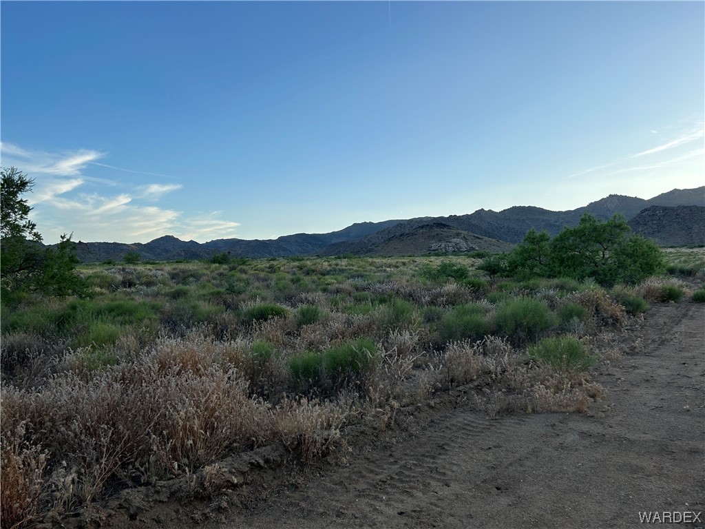 0 Stockton Hill Road Kingman, AZ 86409 - Photo 4 of 20 a view of a mountain range with trees in the background