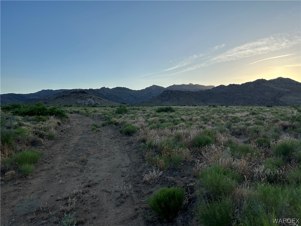 0 Stockton Hill Road Kingman, AZ 86409 - Photo 9 of 20 a view of a mountain range with trees in the background