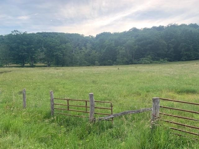 2 Jackson River Road Monterey, VA 24465 - Photo 2 of 4