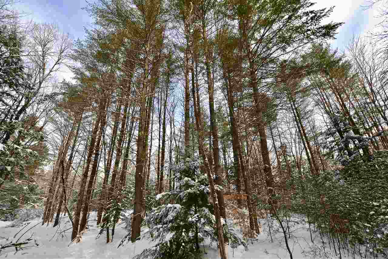 40 Countryside Road Waterbury, VT 05676 - Photo 16 of 24 Gallery Image 16