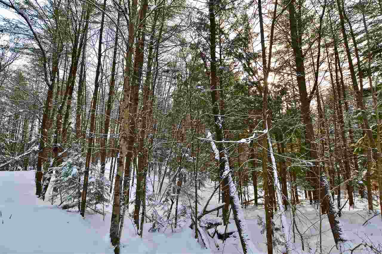 40 Countryside Road Waterbury, VT 05676 - Photo 17 of 24 Gallery Image 17