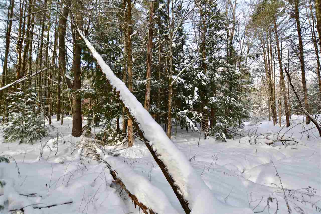 40 Countryside Road Waterbury, VT 05676 - Photo 19 of 24 Gallery Image 19
