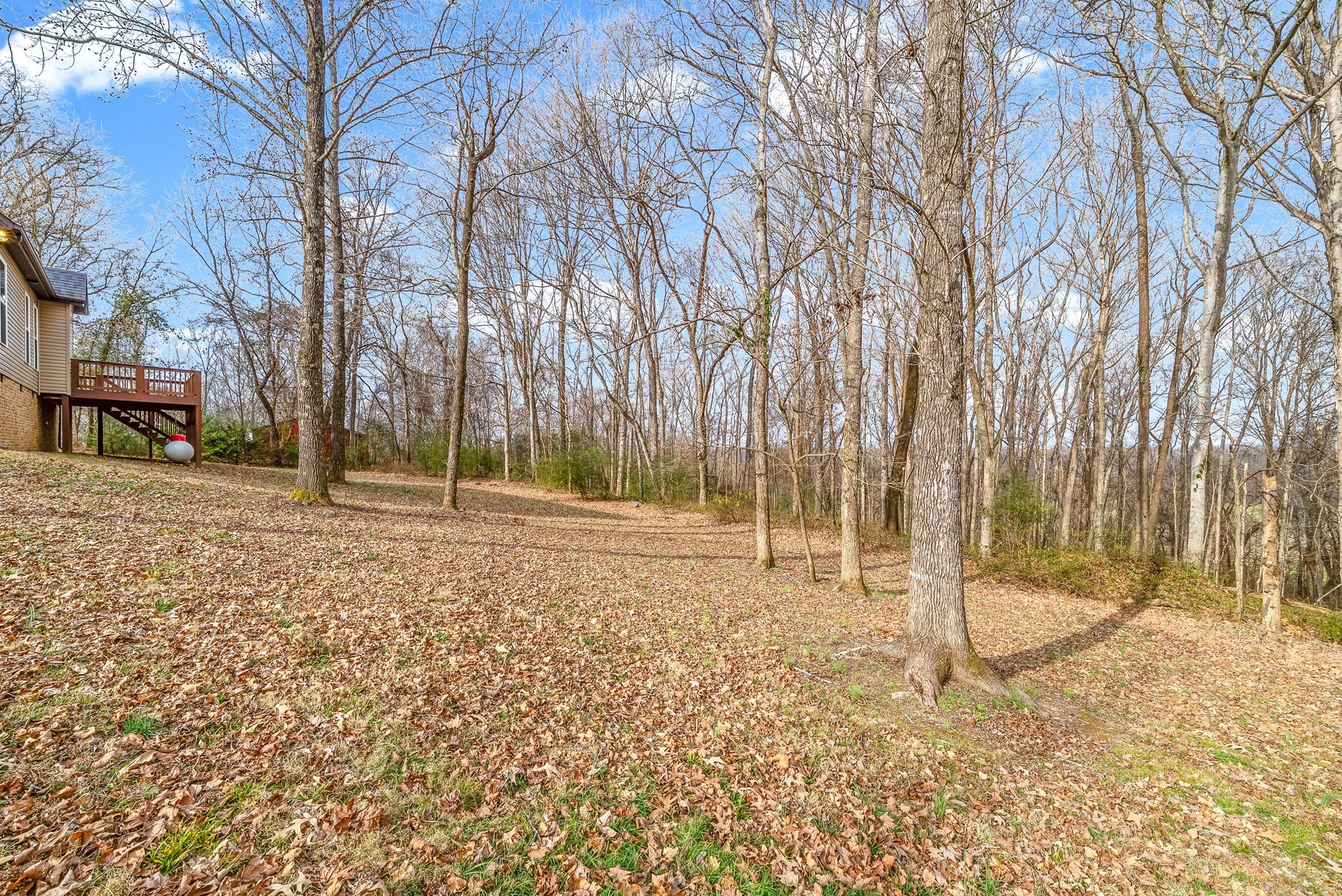 2275 Highway 149 Palmyra, TN 37142 - Photo 37 of 45