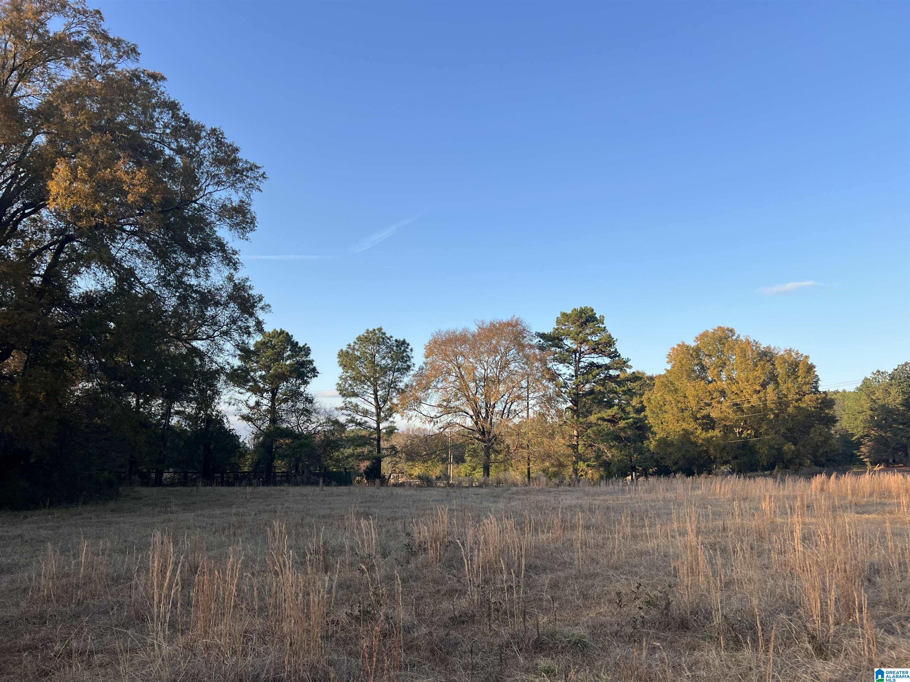 11-acres Risers Mill Road, Unit 11 ACRES Alpine, AL 35014 - Photo 7 of 23