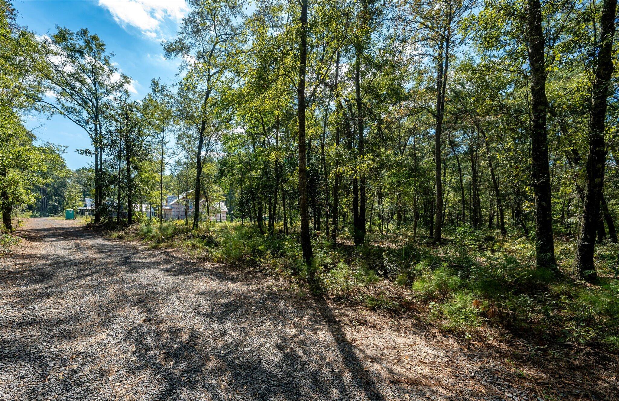 1020 Hidden Acres Path Johns Island, SC 29455 - Photo 4 of 16 13-0 Mary Ann Point_U-24