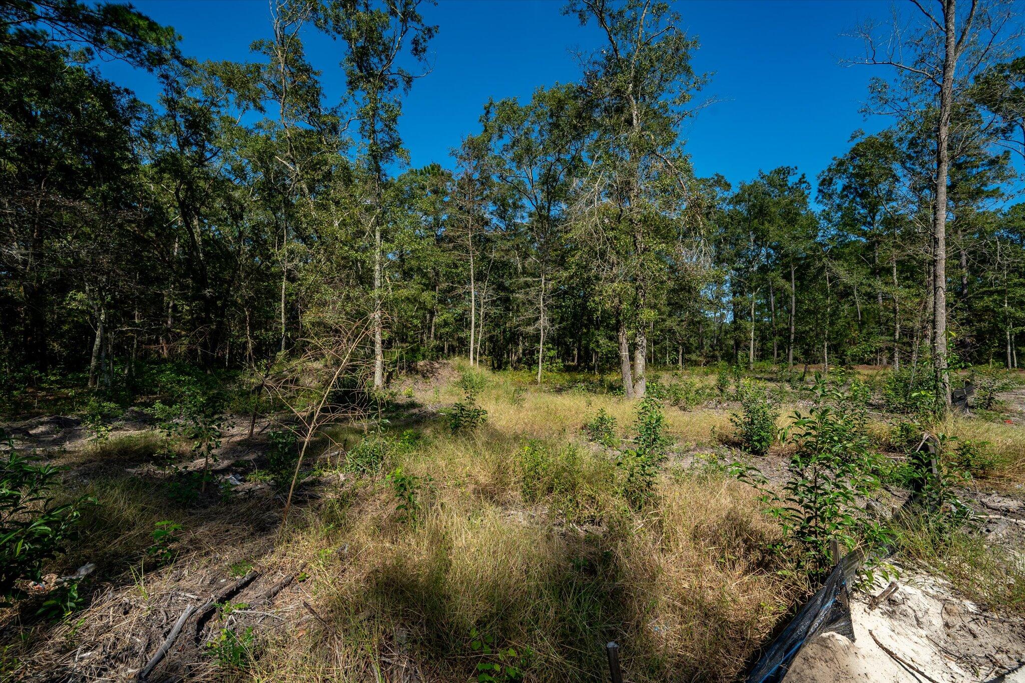 1020 Hidden Acres Path Johns Island, SC 29455 - Photo 5 of 16 14-0 Mary Ann Point_U-25