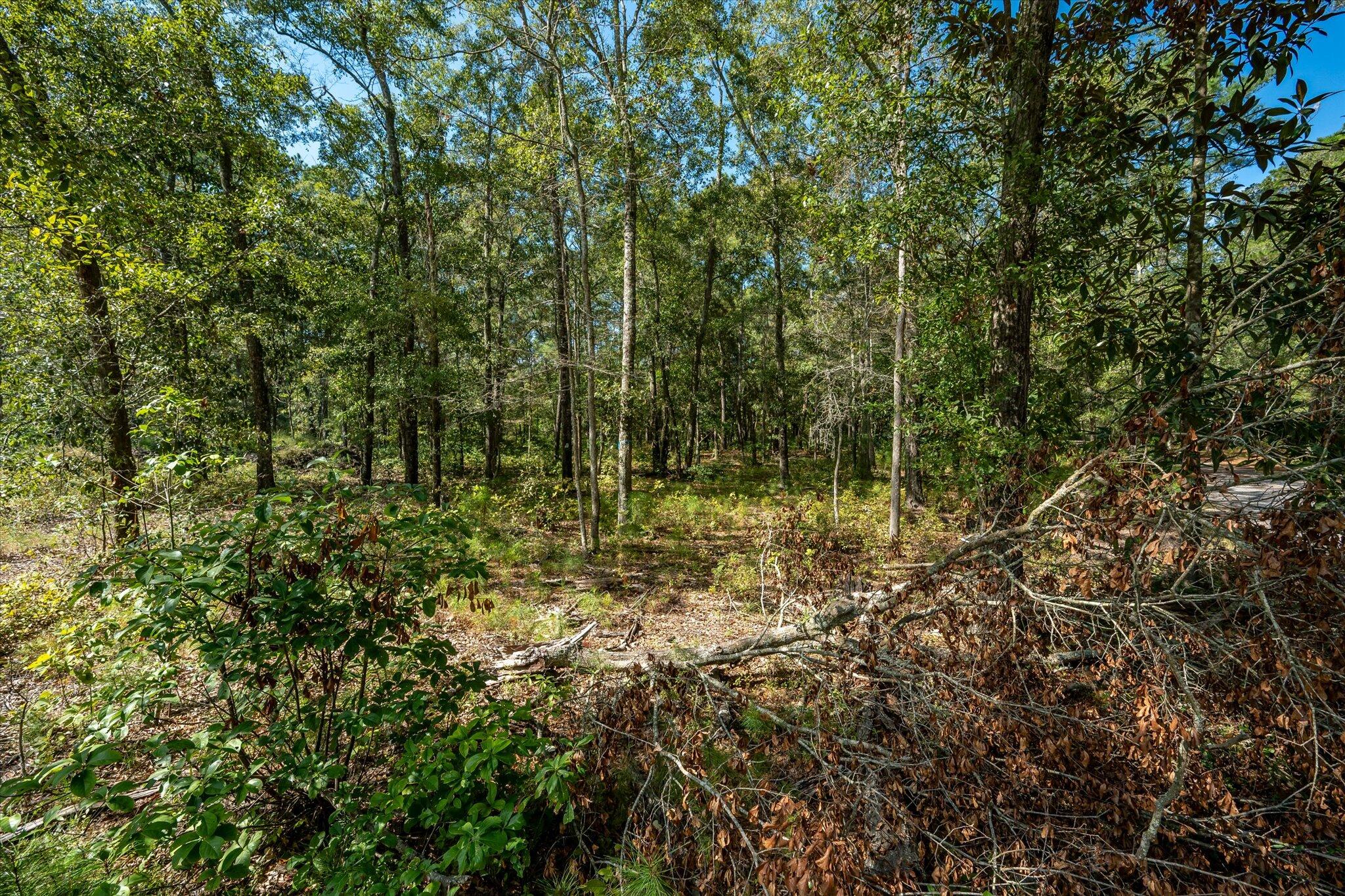 1020 Hidden Acres Path Johns Island, SC 29455 - Photo 6 of 16 10-0 Mary Ann Point_U-21