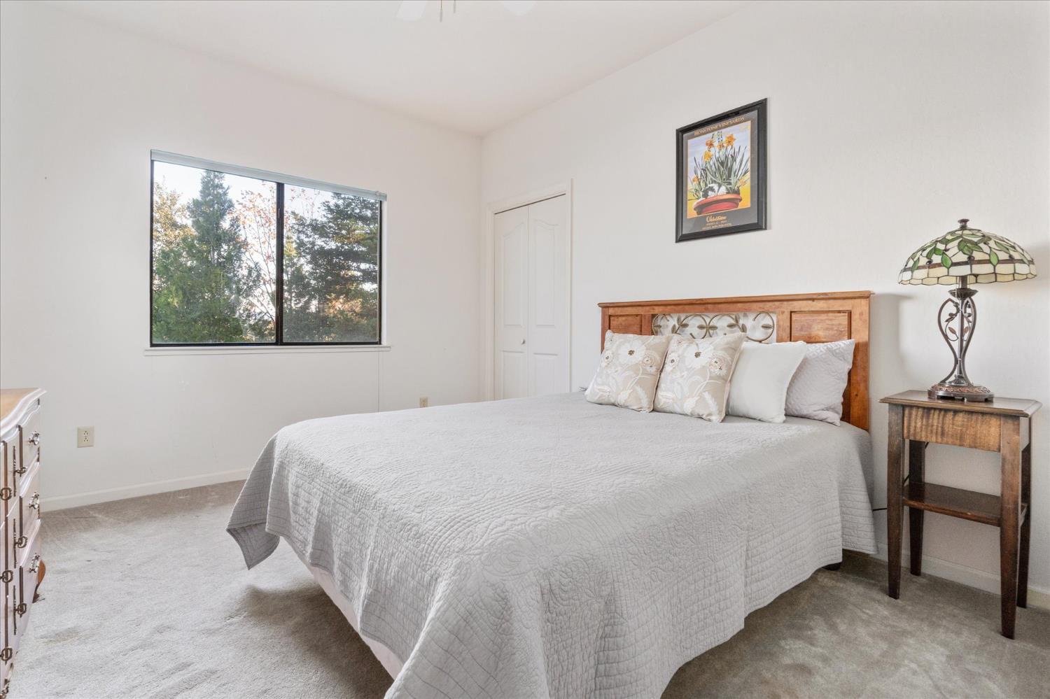 257 Snowberry Court Murphys, CA 95247 - Photo 27 of 56 a bedroom with a bed and a window