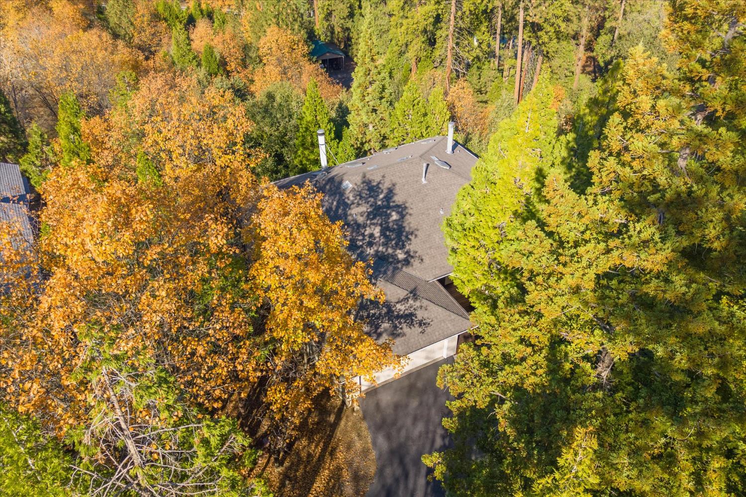 257 Snowberry Court Murphys, CA 95247 - Photo 45 of 56