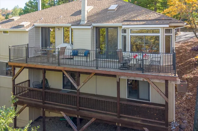 a view of a yard with plants and large trees