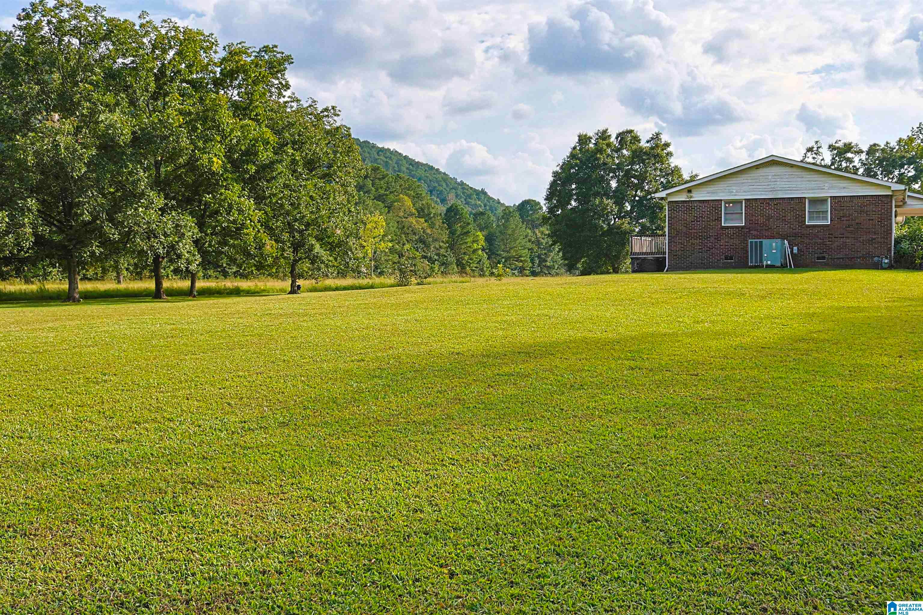 5149 Green Valley Road Southside, AL 35907 - Photo 46 of 74 Gallery Image 46