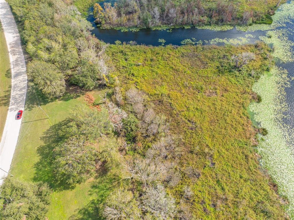 0 McKendree Road Wesley Chapel, FL 33545 - Photo 14 of 25 a view of a yard