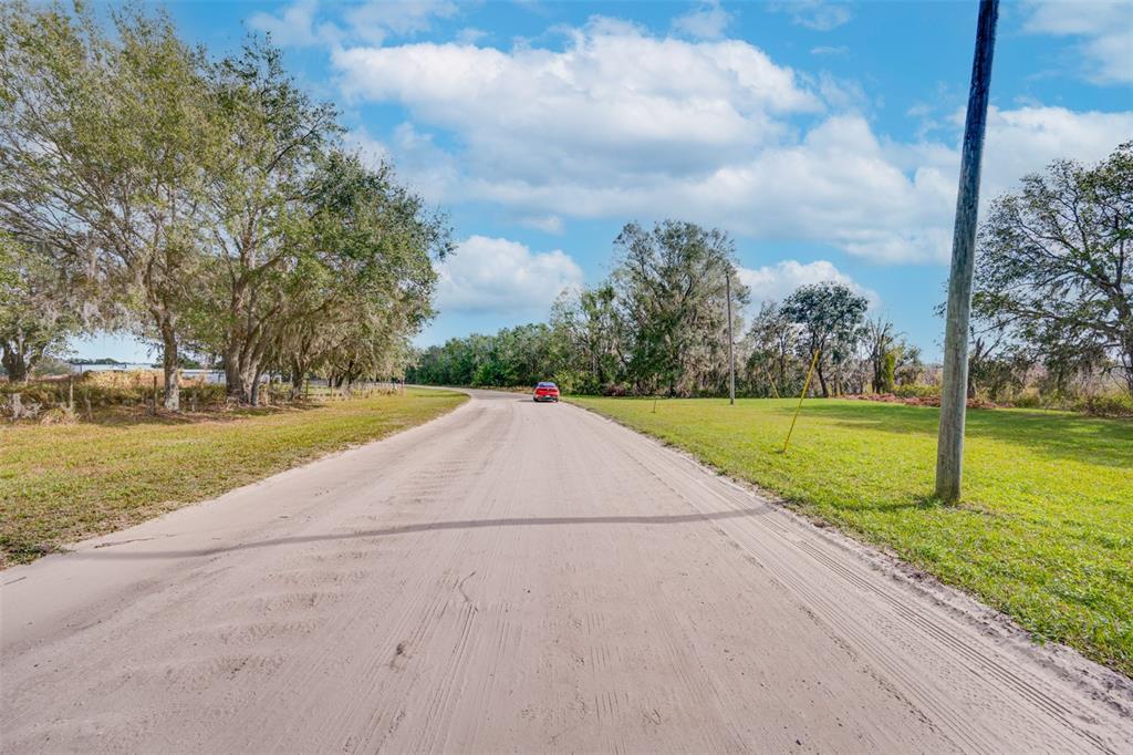0 McKendree Road Wesley Chapel, FL 33545 - Photo 22 of 25 a view of a park with large trees