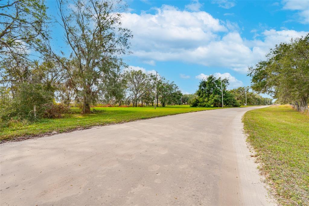 0 McKendree Road Wesley Chapel, FL 33545 - Photo 24 of 25 a view of a golf course