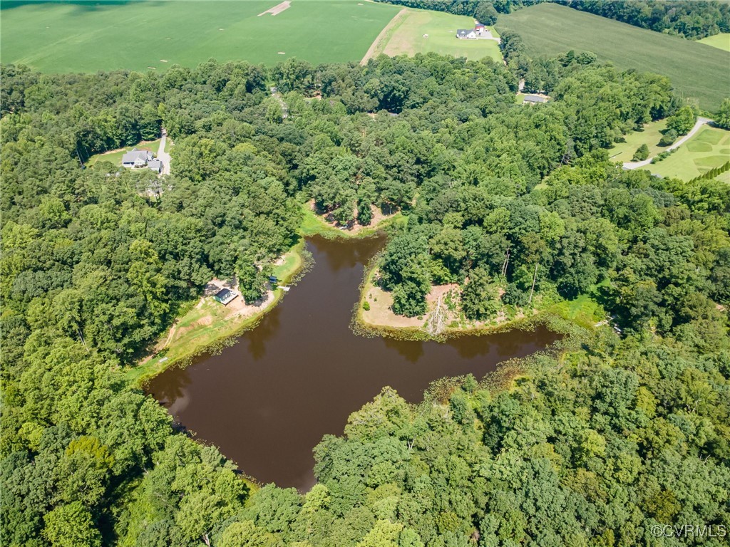 2118 Dorrell Road Aylett, VA 23009 - Photo 11 of 36 Aerial view of property's location with a large bo