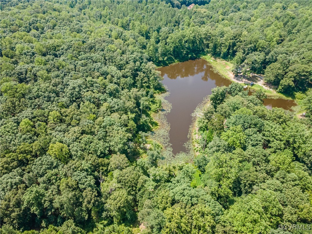 2118 Dorrell Road Aylett, VA 23009 - Photo 10 of 36 Bird's eye view of a forest and a nearby body of w