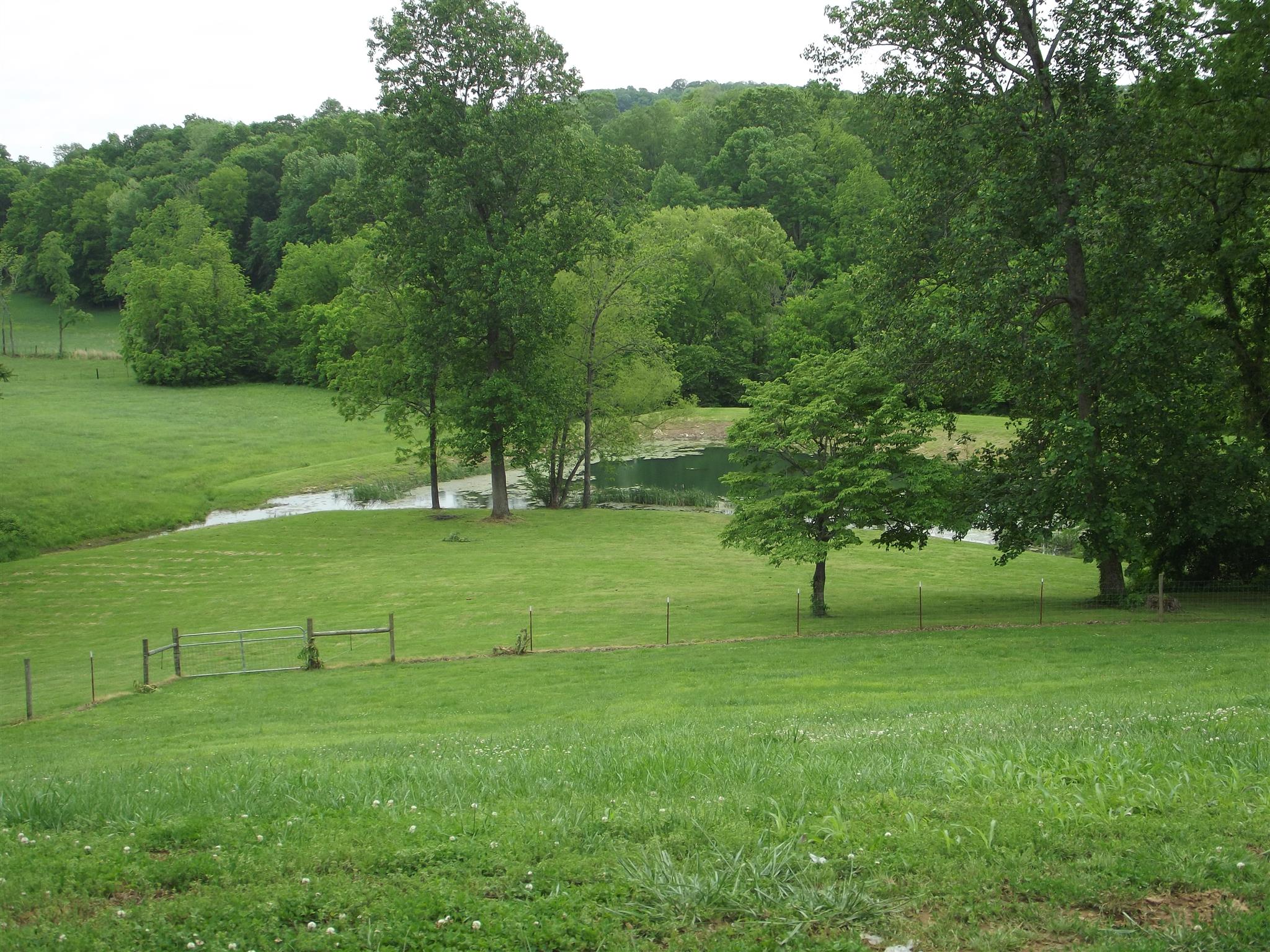 111 Medium Cemetery Road Petersburg, TN 37144 - Photo 7 of 30 View from top deck