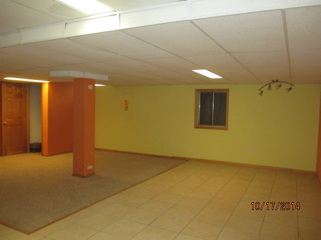 925 Manchester Road Lake Zurich, IL 60047 - Photo 11 of 19