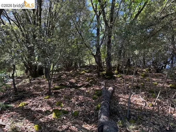 $40,000 | 21344 Green Meadow Lane, Sonora, CA 95370